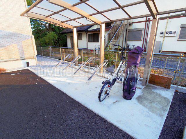 ハーブス カモミール