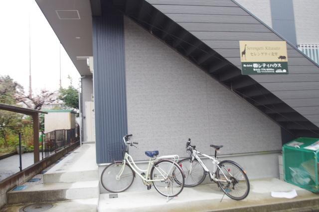 セレンゲティ北里