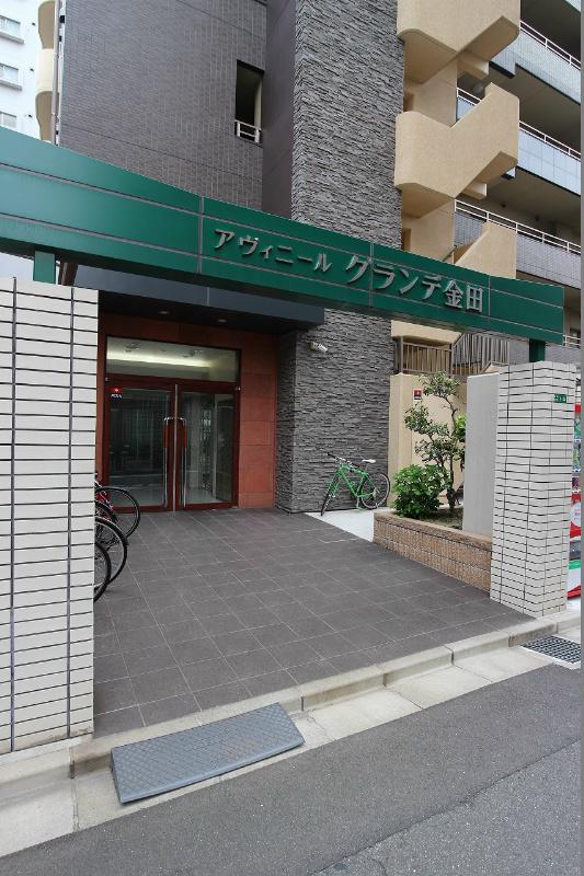 アヴィニールグランデ金田