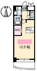 ネクステージ中井(ワンルーム/3階)の間取り写真