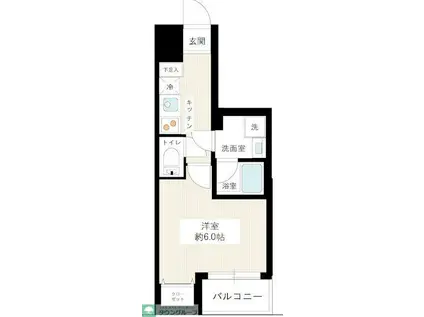 ライズ中野松が丘(1K/5階)の間取り写真