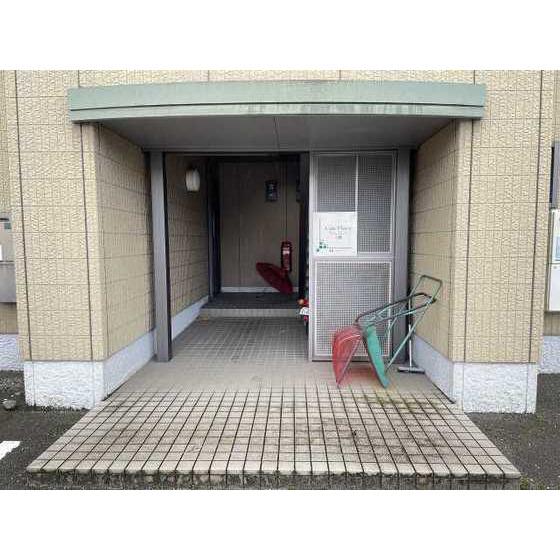 キャンプレース