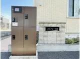 コンフォート泉