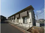 VAST SACHI 