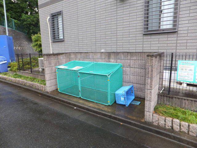 ホワイトベルB