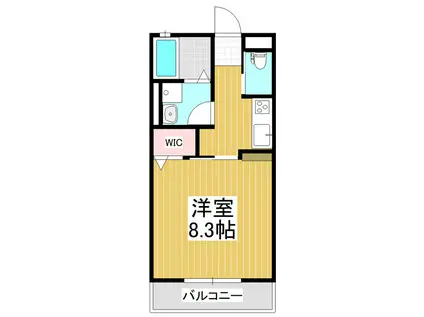ウィズハイム松本(1K/1階)の間取り写真
