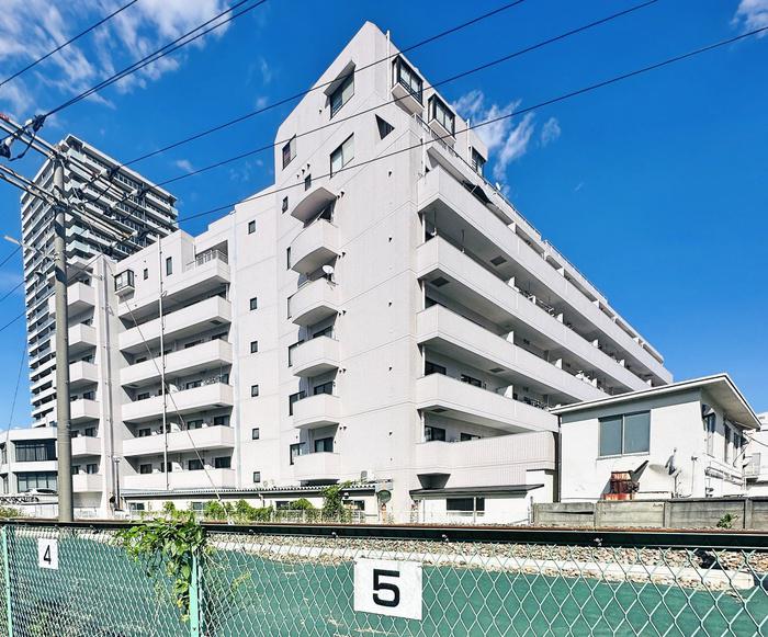 レピドール福田I