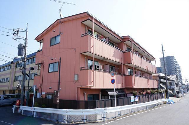 オアシス光