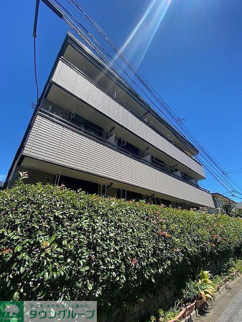 グレースパピヨン