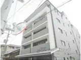 NプラスAYA