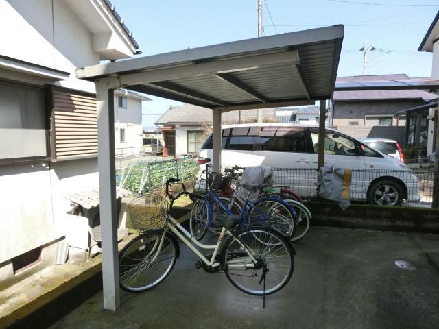 サンフラワー