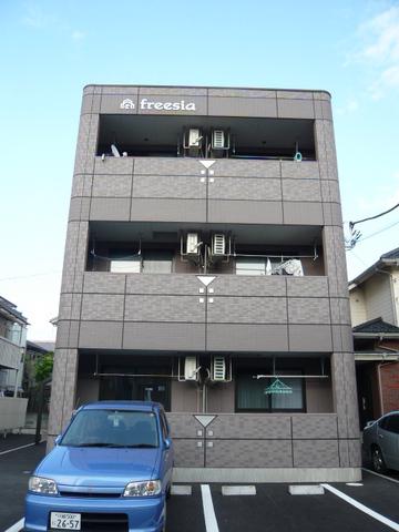 フリージア