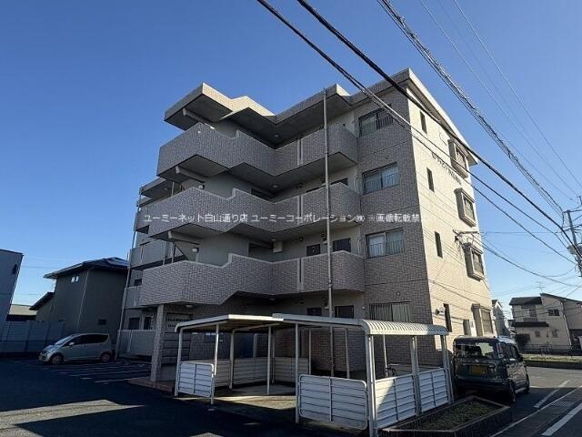セレブウイング内田