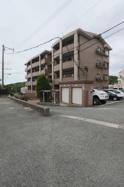 グリーンフォレスト