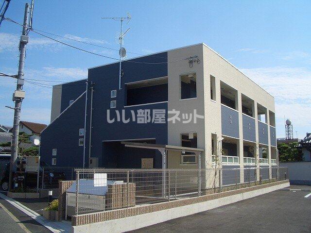 ハナミズキ