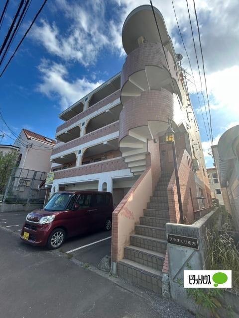 プラザくりの木