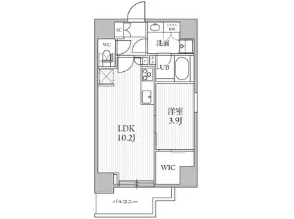 シーズンフラッツ滝野川(1LDK/8階)の間取り写真