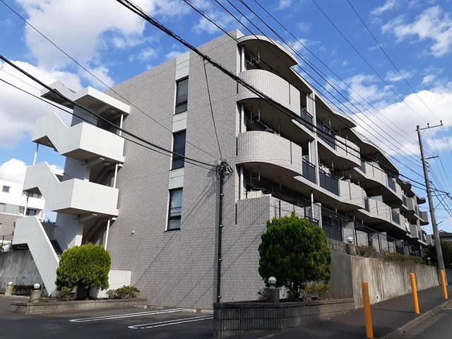 アルドーレ 芹沢
