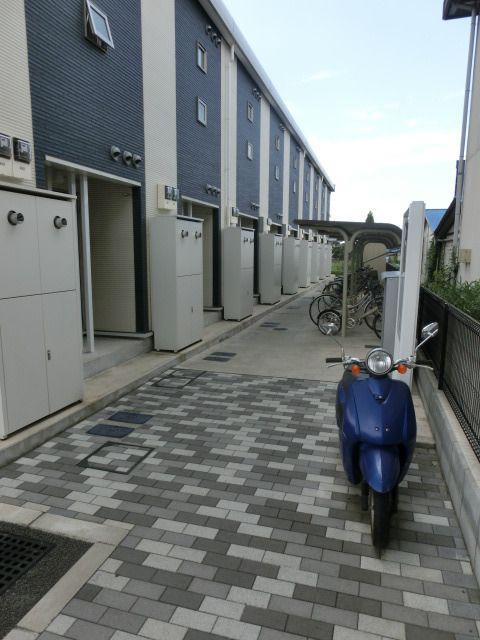 LNチャコルル