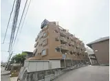 ライオンズマンション平塚第3