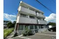 マイパレス征矢野1号棟