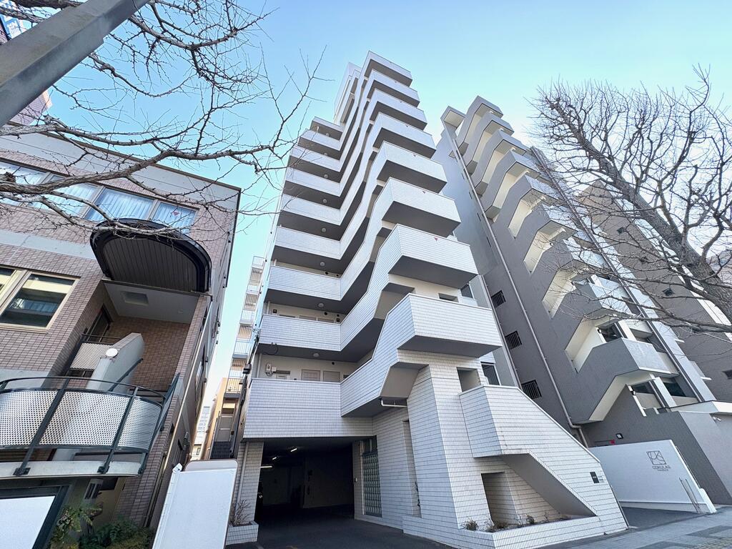 COKULAS上杉