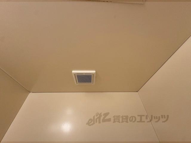 ドエルツクマ