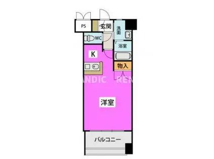 カーサアミ―タ(1K/9階)の間取り写真