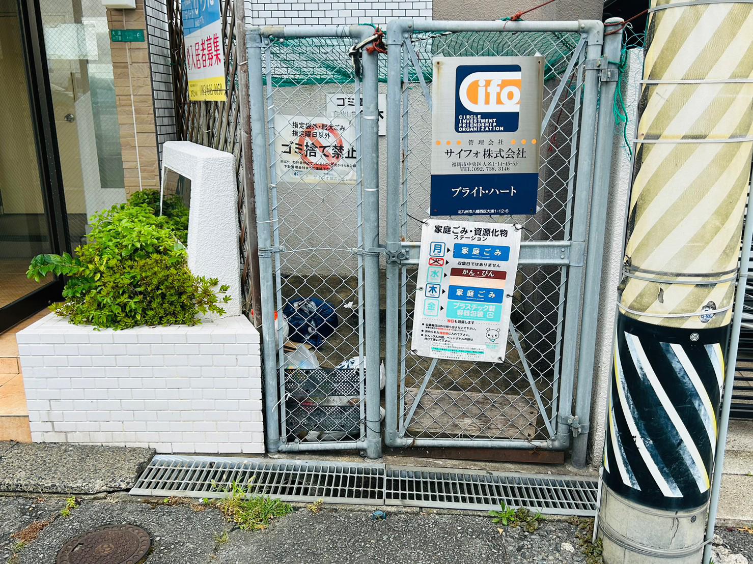 ブライト・ハート