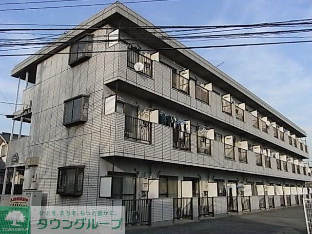 パープルティアラ