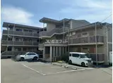 アルストロメリア