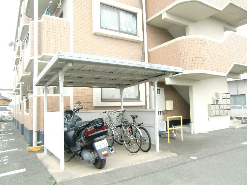マンションやまももの木