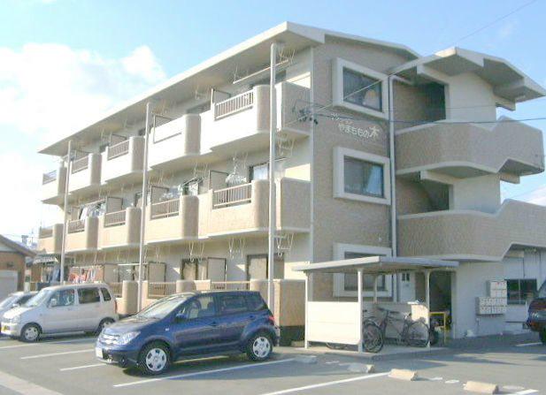マンションやまももの木