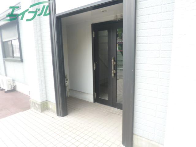 セントポーリア D
