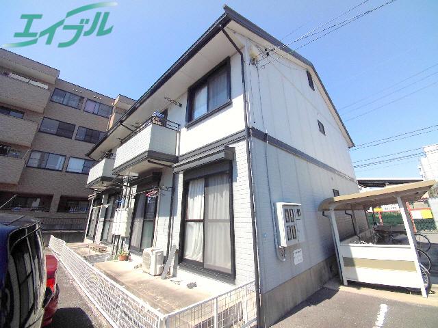 セントポーリア D