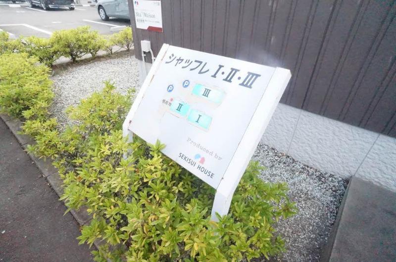 シャッフレIII