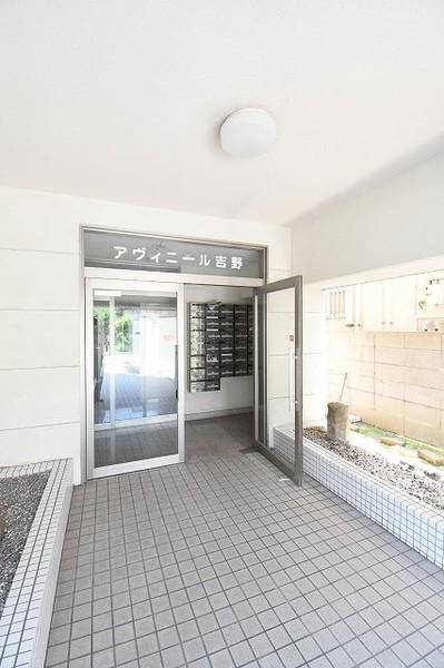 アヴィニール吉野