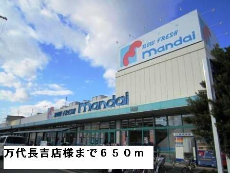 インフィニティ シバタ