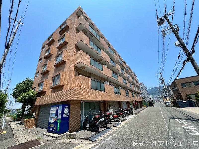 シロハイヌ吉田