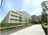 ピエス綱島