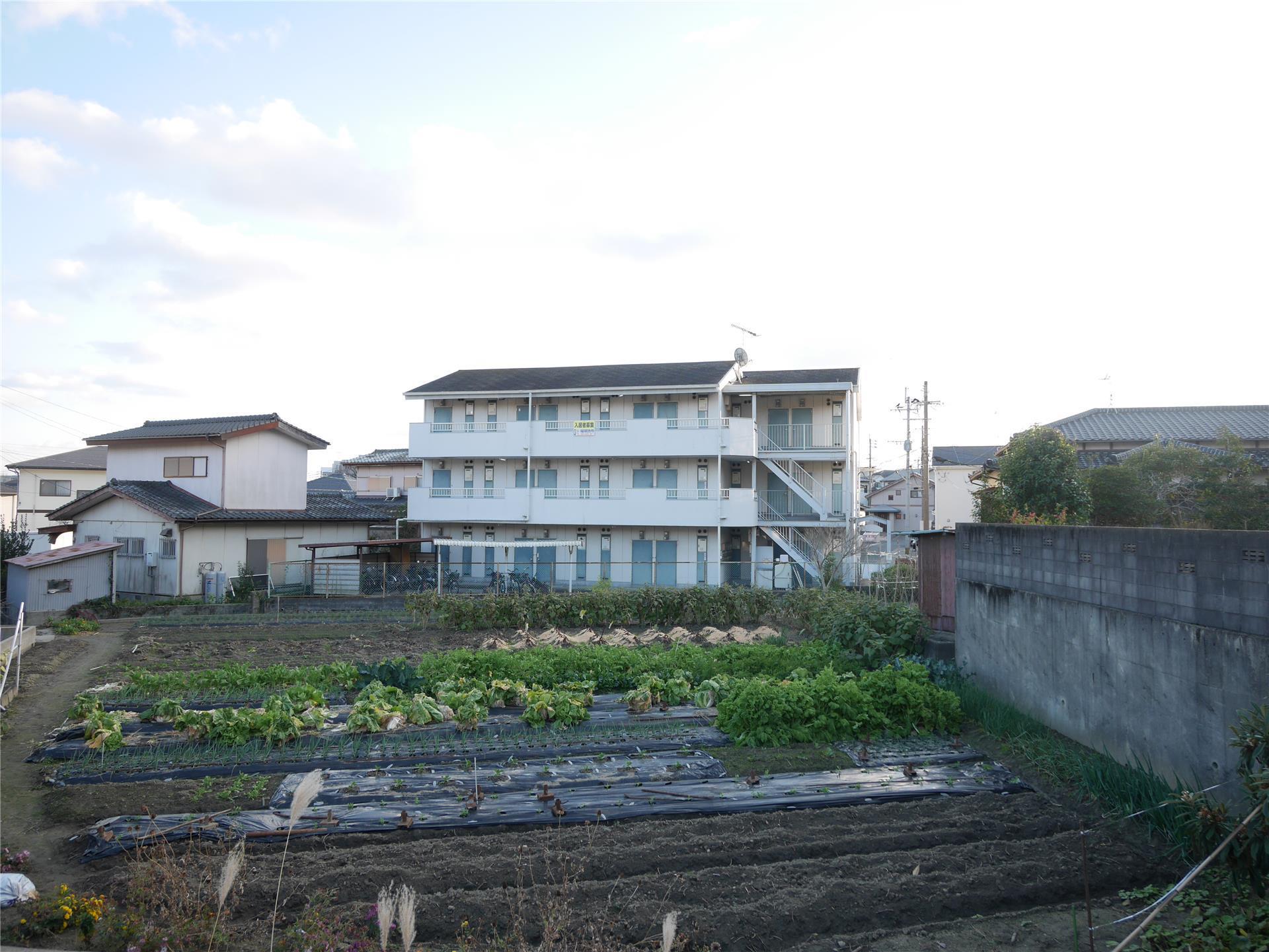 タニヤングハイツ