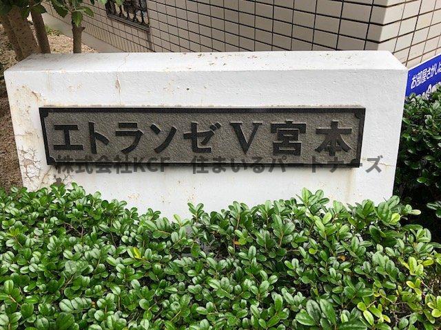 エトランゼ宮本V