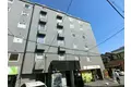 アムズV桑津