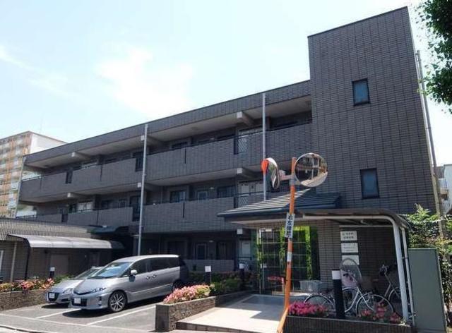 マアヤ白鷺