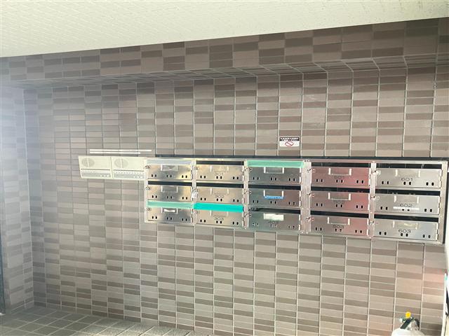 フリーダム6