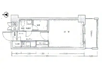 フォルム熊大前III(1K/6階)の間取り写真