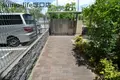 グレイスコスモス