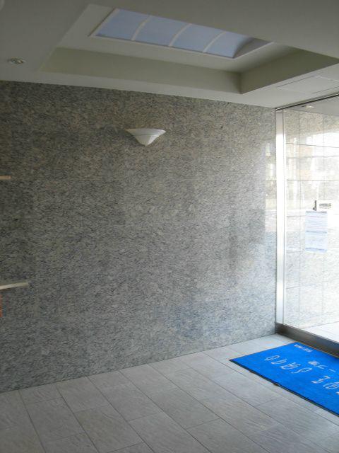 WAVE里