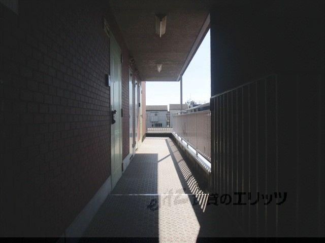 アンフィニィ島上