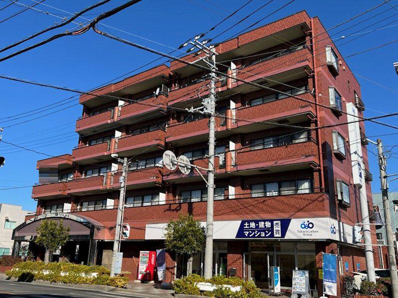 かるら蕨